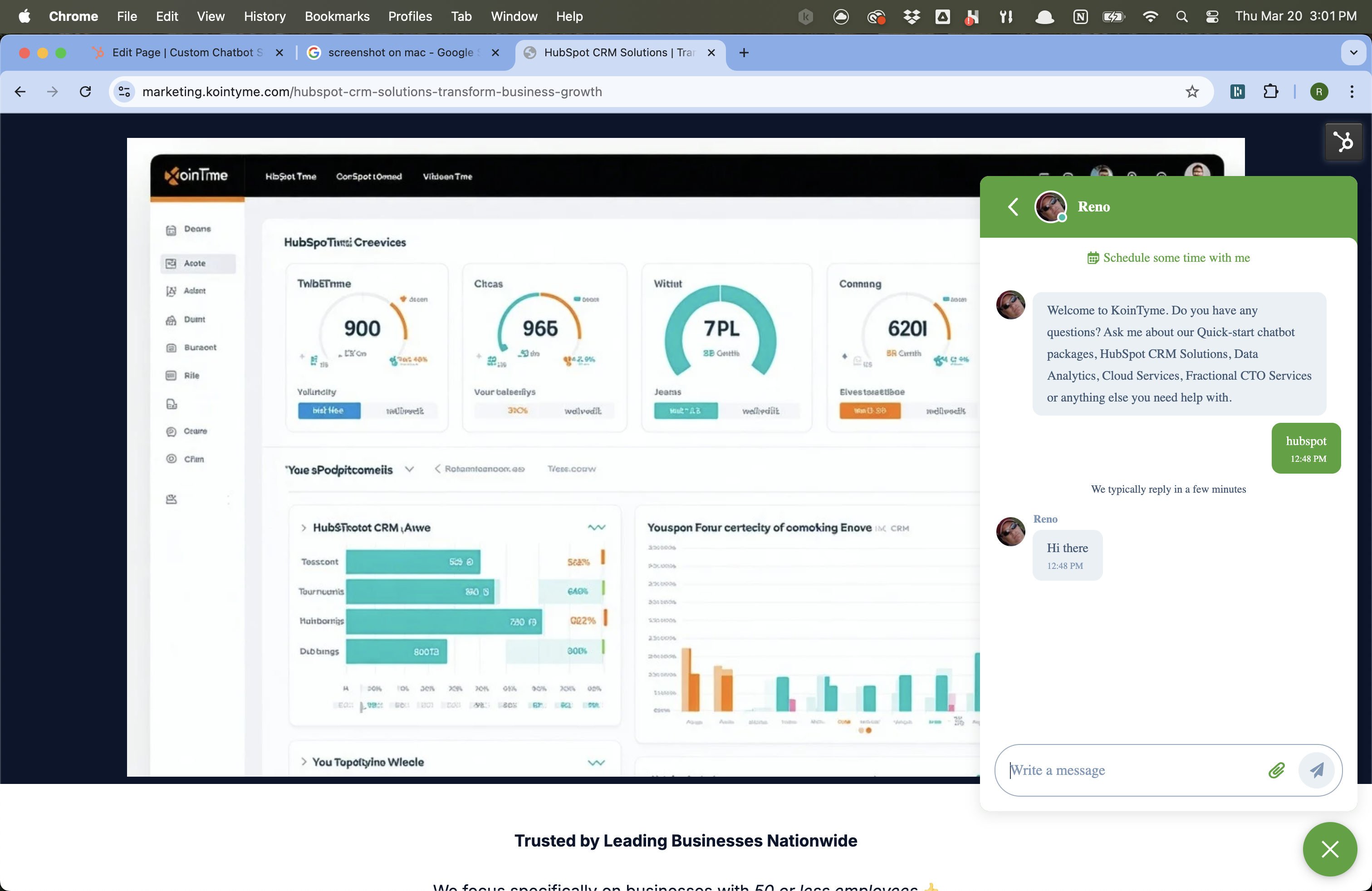 HubSpot Chatbot